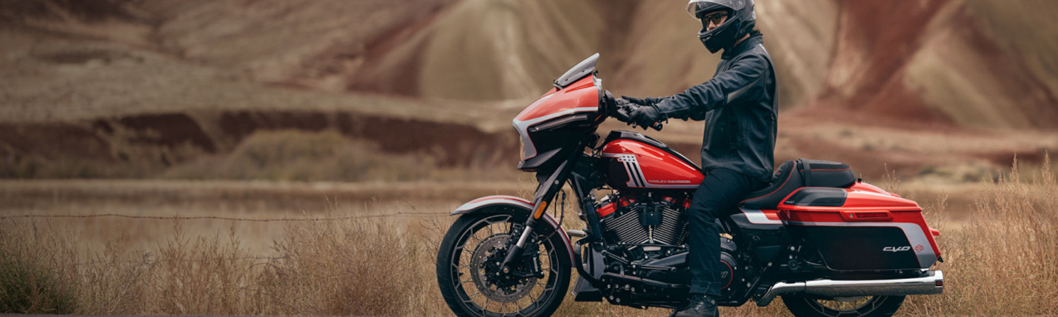 2015 Harley-Davidson® CVO™ Street Glide® for sale in Teddy Morse's Daytona Harley-Davidson®, Ormond Beach, Florida