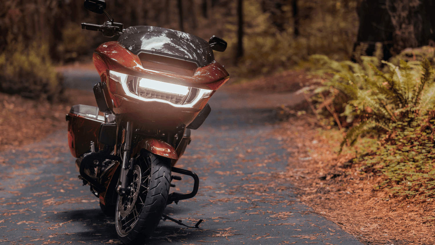 The 2024 Harley-Davidson® CVO™ Road Glide® in Ormond Beach, FL